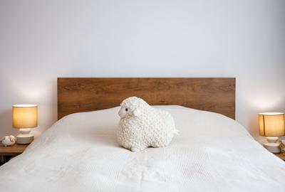 Apartament 2 camere, Dumbravita – Etaj 1 | Loc Parcare inclus | Comision 0% - 35