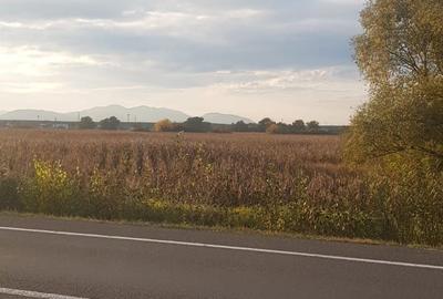 Teren de 3940 mp, în Simeria - 4