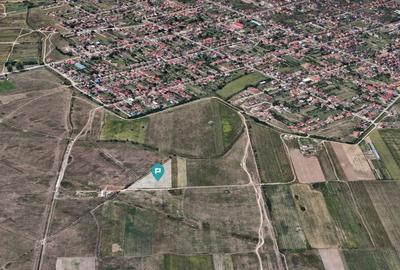Teren Extravilan Oportunitate Unica de Investi?ie! - 4