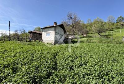 Spațiu comercial, în Bârseștii de Sus