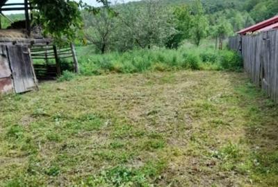 Casă cu 3 camere în Licurici - 1