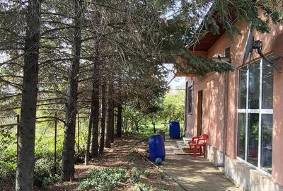 Casă cu 3 camere în Mânăstirea - 5