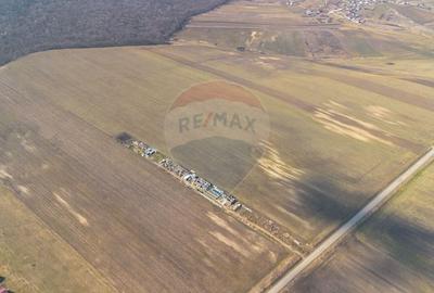 Teren agricol extravilan de 13500 mp, în Voinești - 10