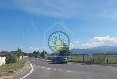 TEREN STUPINI BRASOV - 5