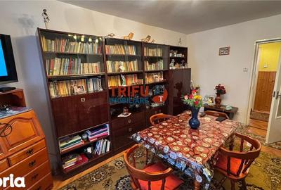 Apartament cu 3 camere semidecomandat în Cetate - 11