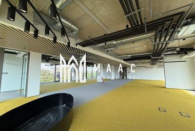 Spatiu birouri I Suprafete la cerere I Zona Centrala Spatiu birouri I Suprafete la cerere I Zona Centrala - 22