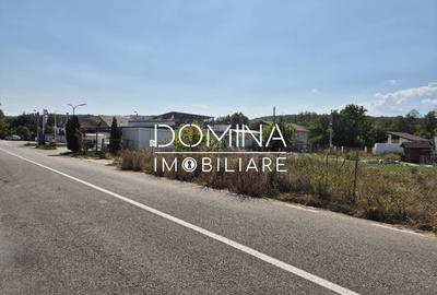 Teren Construcții intravilan de 1023 mp, în Nord-Vest - 5