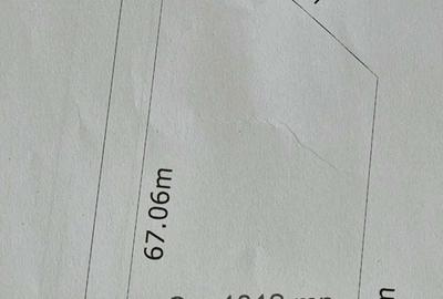 Spațiu comercial, în Ciolpani - 4