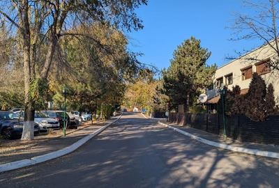 Teren 19.470 mp, dezvoltare imobiliara, Green City - 1 Decembrie, Ilfov - 16