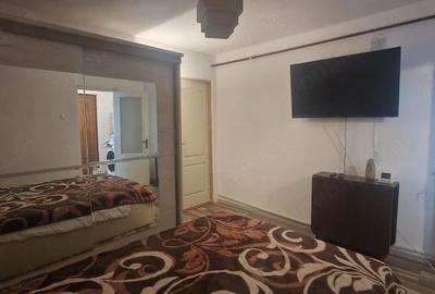 Garsonieră semidecomandată în Valea Rosie - 1
