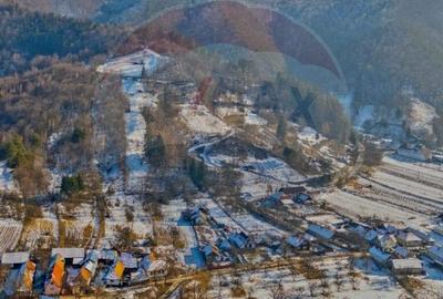 CASA 3 CAMERE SINCA NOUA / 5650 mp teren - 29