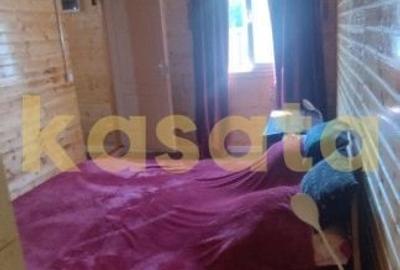 Casa individuala de lemn I Calarasi I Dor Marunt I teren 814 mp - 8