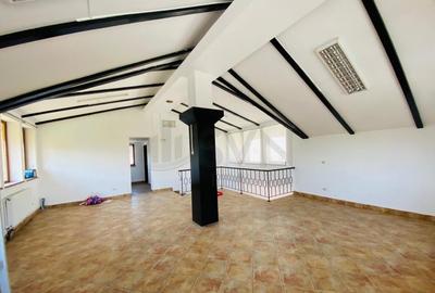 Casa de Straulesti Casa de Straulesti - 3