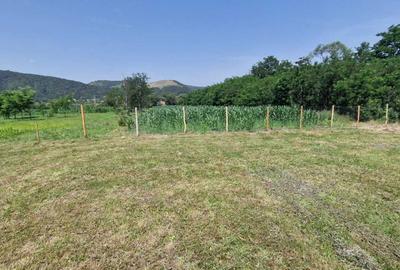 Spațiu comercial, în Bucium - 4