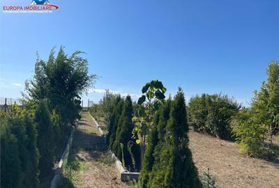 Teren de in localitatea Cataloi Tulcea - 2