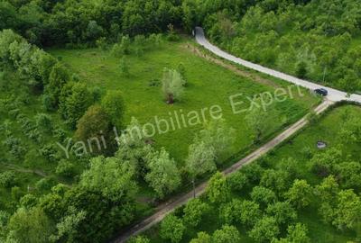 Teren de 8387 mp, în Corbi - 11