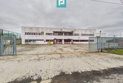 Hală de producție, cu birouri și teren, în Sebiș - 49