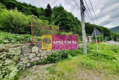 Teren Intravilan de Vanzare Sinaia - 3