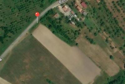 Teren de 15000 mp, în Mihăești - 2