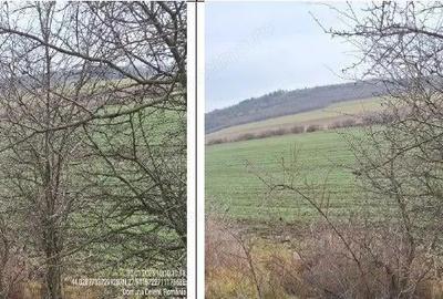 Teren cota parte 1/12 Deleni, ID: R2662164 - 3