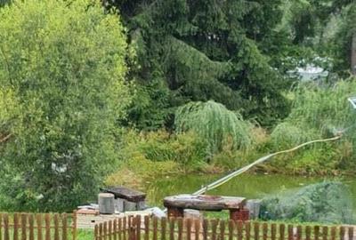 Domeniu situat la poalele Calimanilor - 9