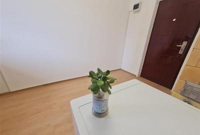 Imobil in bloc de apartamente, pivnita generoasa,aria piata Astra,Brasov - 2