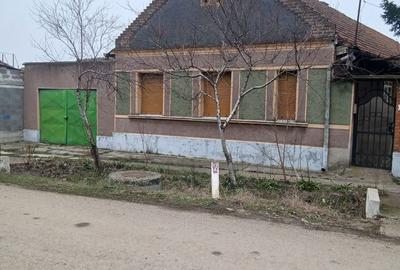 Casă cu 4 camere cu Teren 3767 Mp în Borș - 9