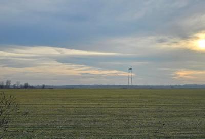 Teren agricol extravilan de 295413 mp, în Florești - 6