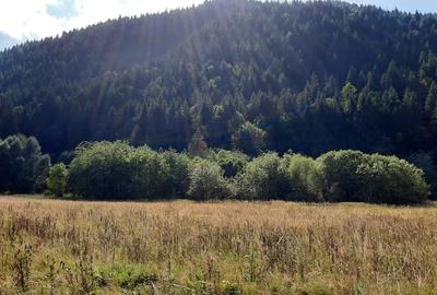 Teren Construcții intravilan de 2089 mp, în Schitu Tarcău - 9