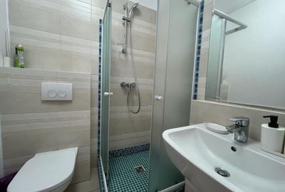 Apartament cu 3 camere semidecomandat, mobilat în Nord - 13