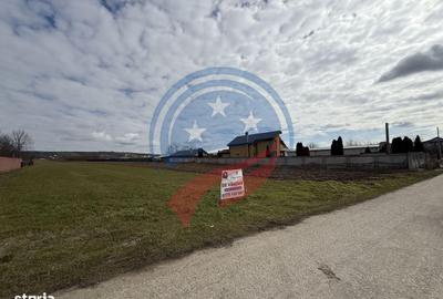 Spațiu comercial, în Coșoveni