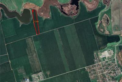 Teren cu Potential de Investitie - 75.500 mp, Budesti, Calar - 1