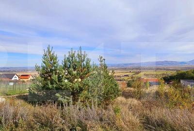 Casa de vanzare, sub padure, intr-un cadru natural deoseb - 3