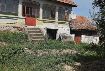 Casă cu Teren 1700 Mp în Pleșoiu - 4