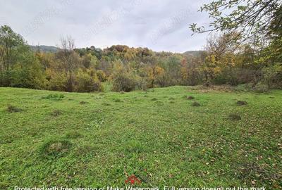 Casă cu Teren 14340 Mp în Breaza - 11