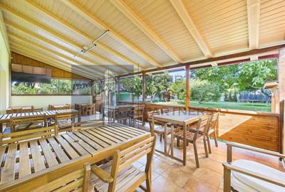 Domnesti Vanzare casa P+M, 7 camere, 4 dormitoare, 4 bai, garaj 3 autoturisme - 5