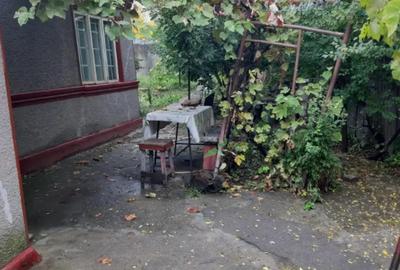 Casă cu 2 camere în Central - 4