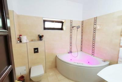 Inchiriere vila 5 camere in Voluntari-Andronache - 6