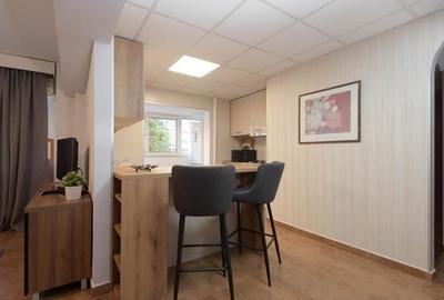 Apartament cu 2 camere semidecomandat, mobilat în Kiseleff - 1