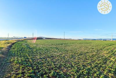 Teren intravilan 22800mp la 2km de Parcul Industrial Prejmer - 2