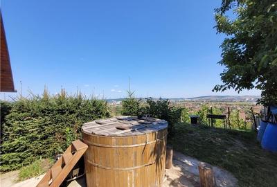 Refugiu de Weekend la 10 Minute de Targu Mures - 6