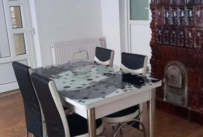 Casă cu 2 camere cu Teren 10000 Mp în Sanislău - 5