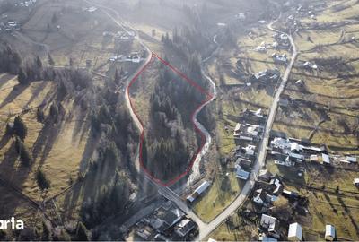 Teren de 14927 mp, în Vatra Moldoviței - 2