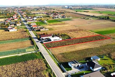 Teren intravilan de vanzare 3000 mp, Botiz, str. Sirul Mare, la doar 7 km de centrul Satu Mare - 8