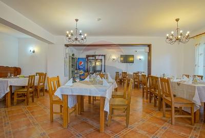 Hotel/Pensiune, de 2,950 mp, în Pănicel - 20