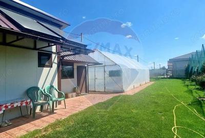 Investitie livada cu 116 pomi fructiferi in Comuna Livada - 9