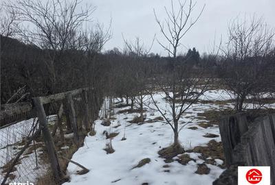 Spațiu comercial, în Central - 2