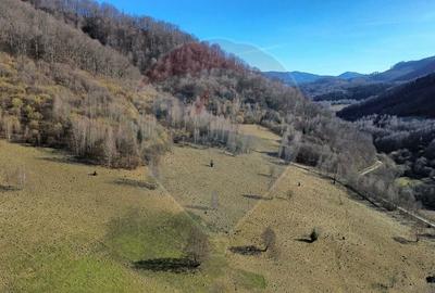 Teren agricol extravilan de 16466 mp, în Mara - 10