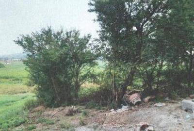 Teren intravilan  pe 1.200 mp, Craiesti, Mures. - 4