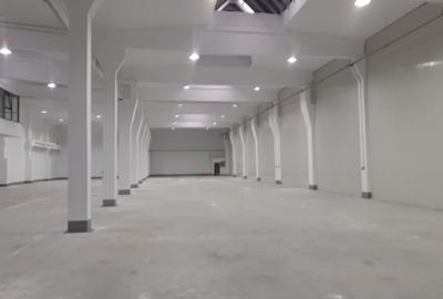 Hala de 700 mp zona Progresul - 2